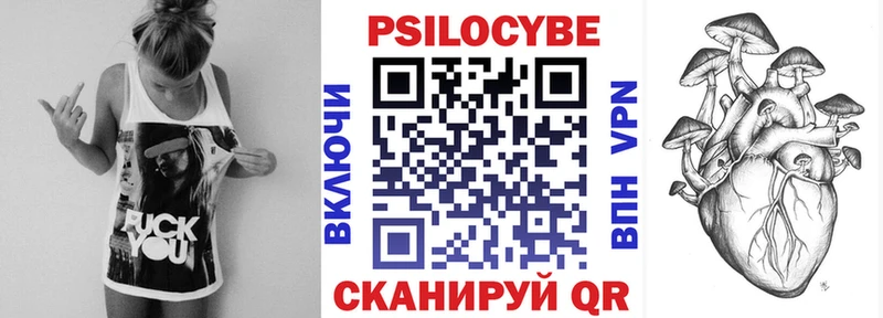 Псилоцибиновые грибы Psilocybe  мега tor  Черепаново 